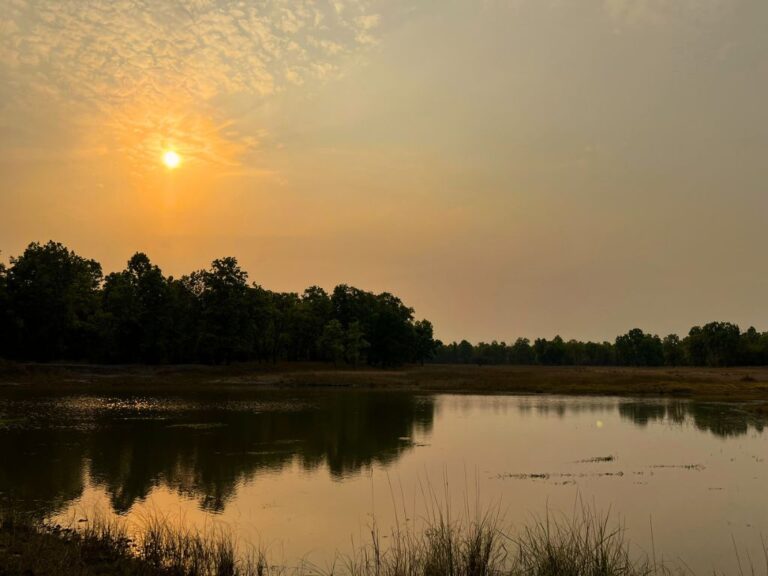 Tiger safari during sunset over lake in Tala Zone in Bandhavgarh Tiger Reserve.