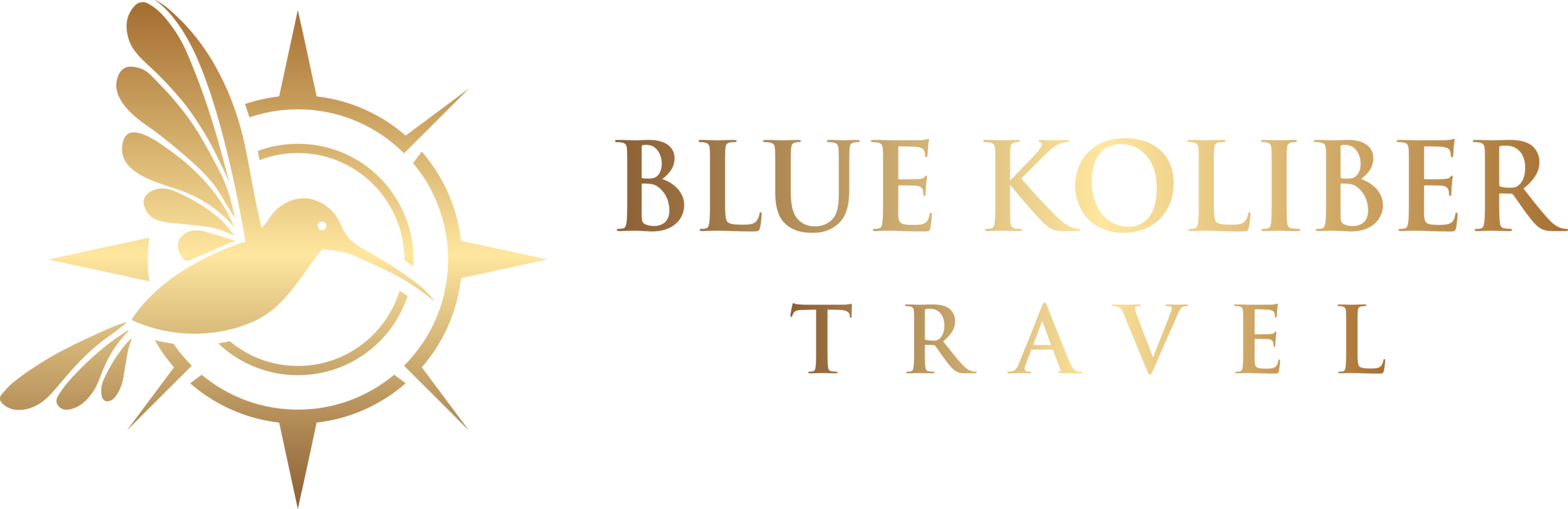 Blue Koliber Travel